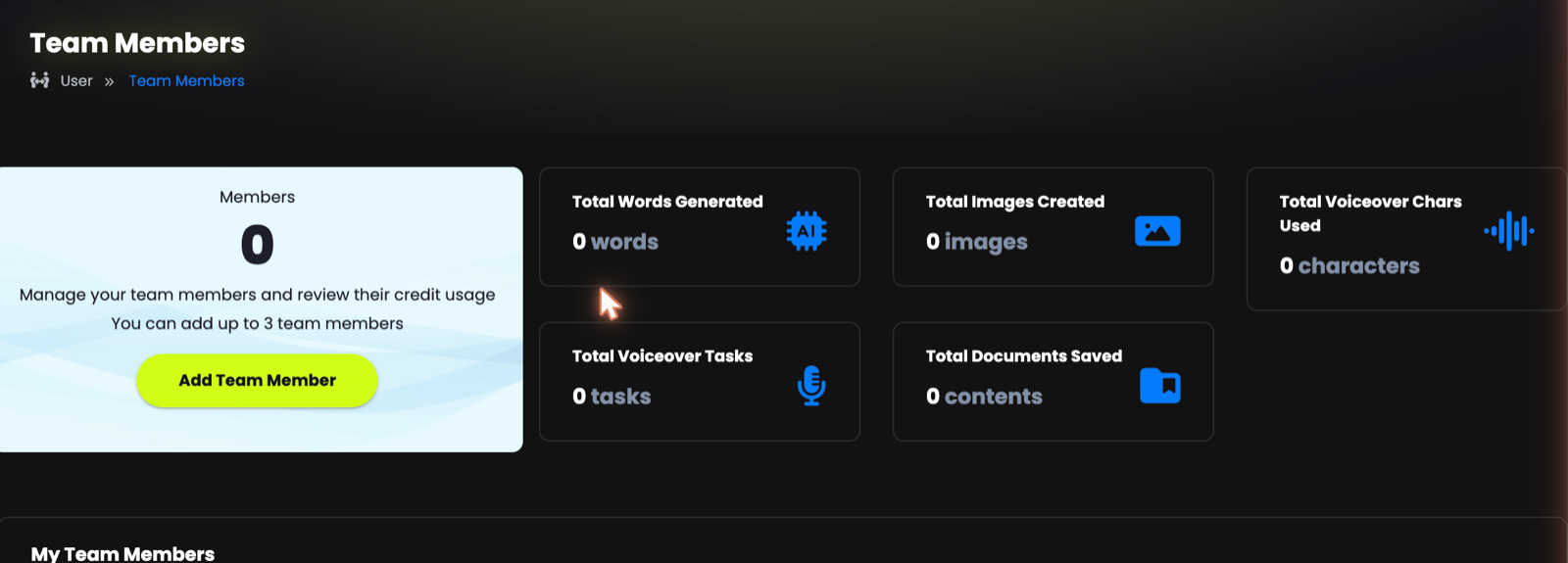 Team Members page showing member count, usage statistics and the member table