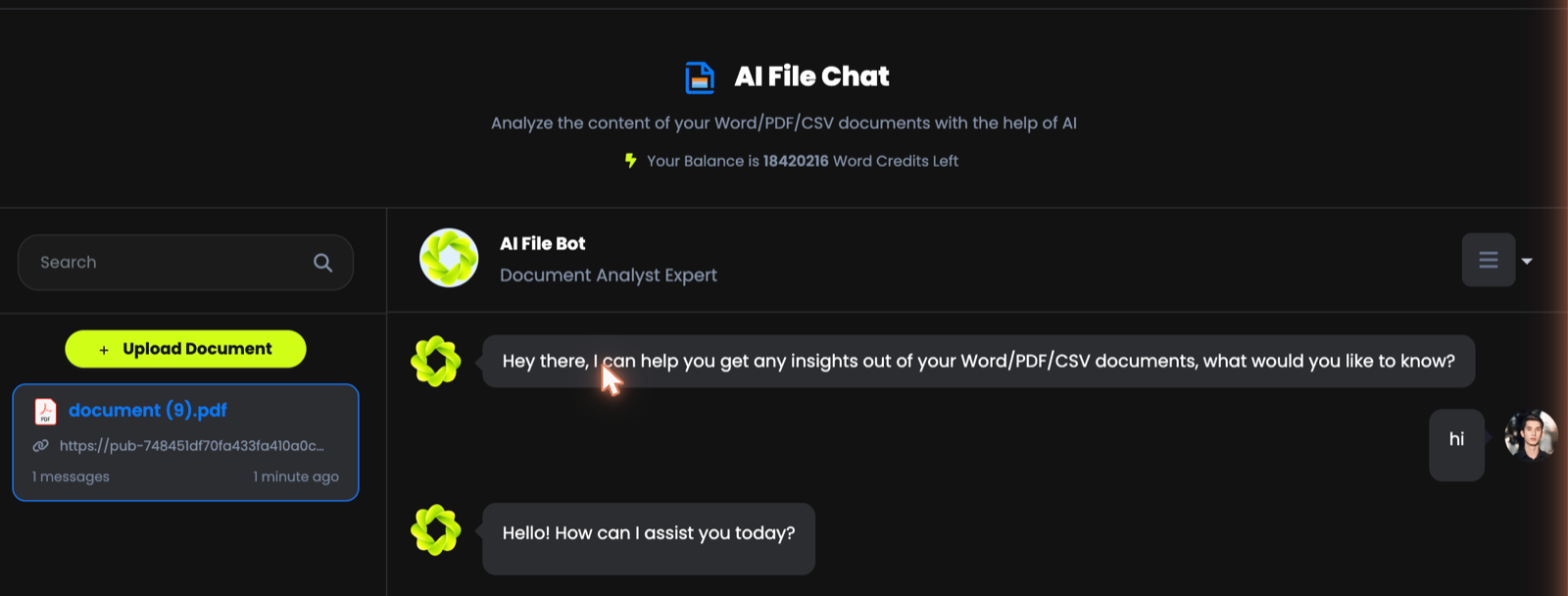 The AI File Chat workspace with an uploaded document
